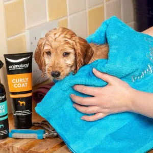 Animology Curly Coat Dog Shampoo