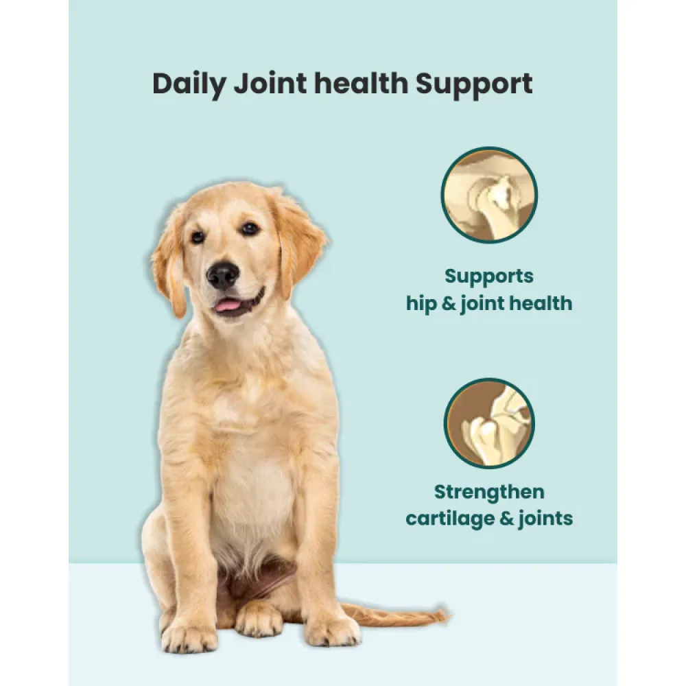 Bark Out Loud Hip and Joint Supplements for Dogs