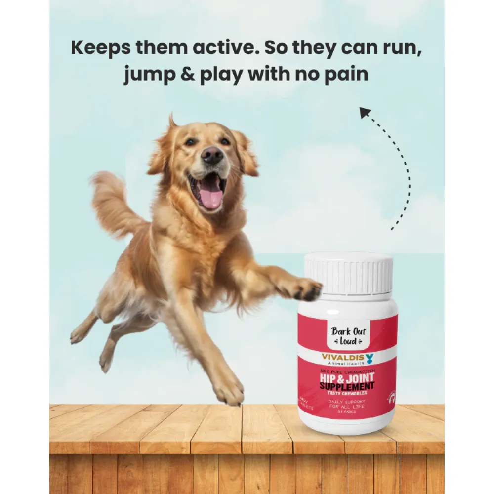 Bark Out Loud Hip and Joint Supplements for Dogs