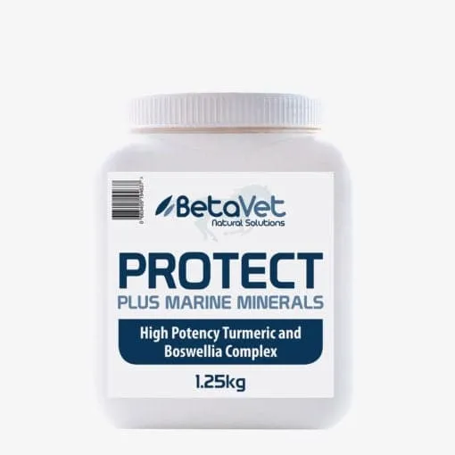 Betavet Protect