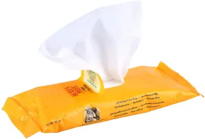 Burt's Bees Wipes