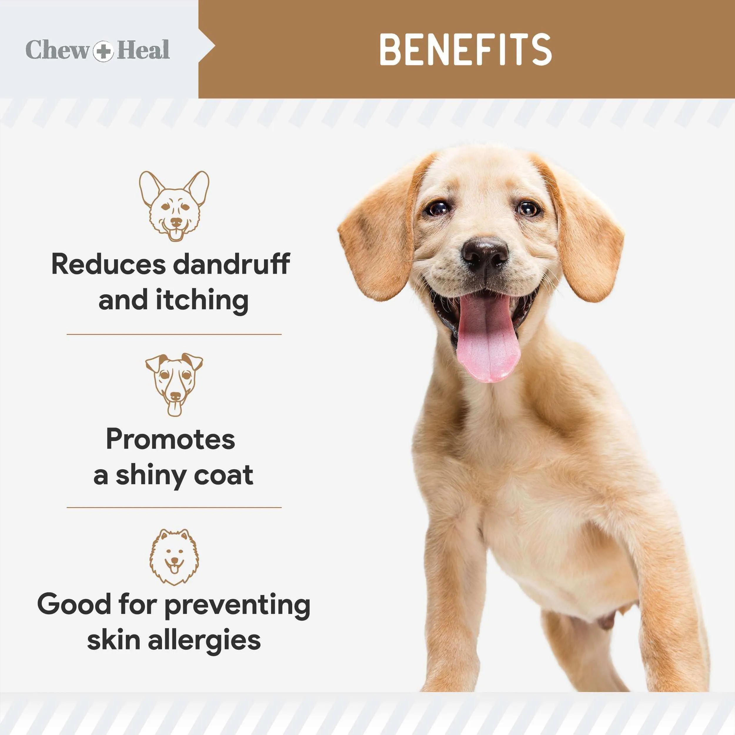 Chew   Heal Omega Skin and Coat for Dogs - 180 Chews - Peanut Butter Flavor