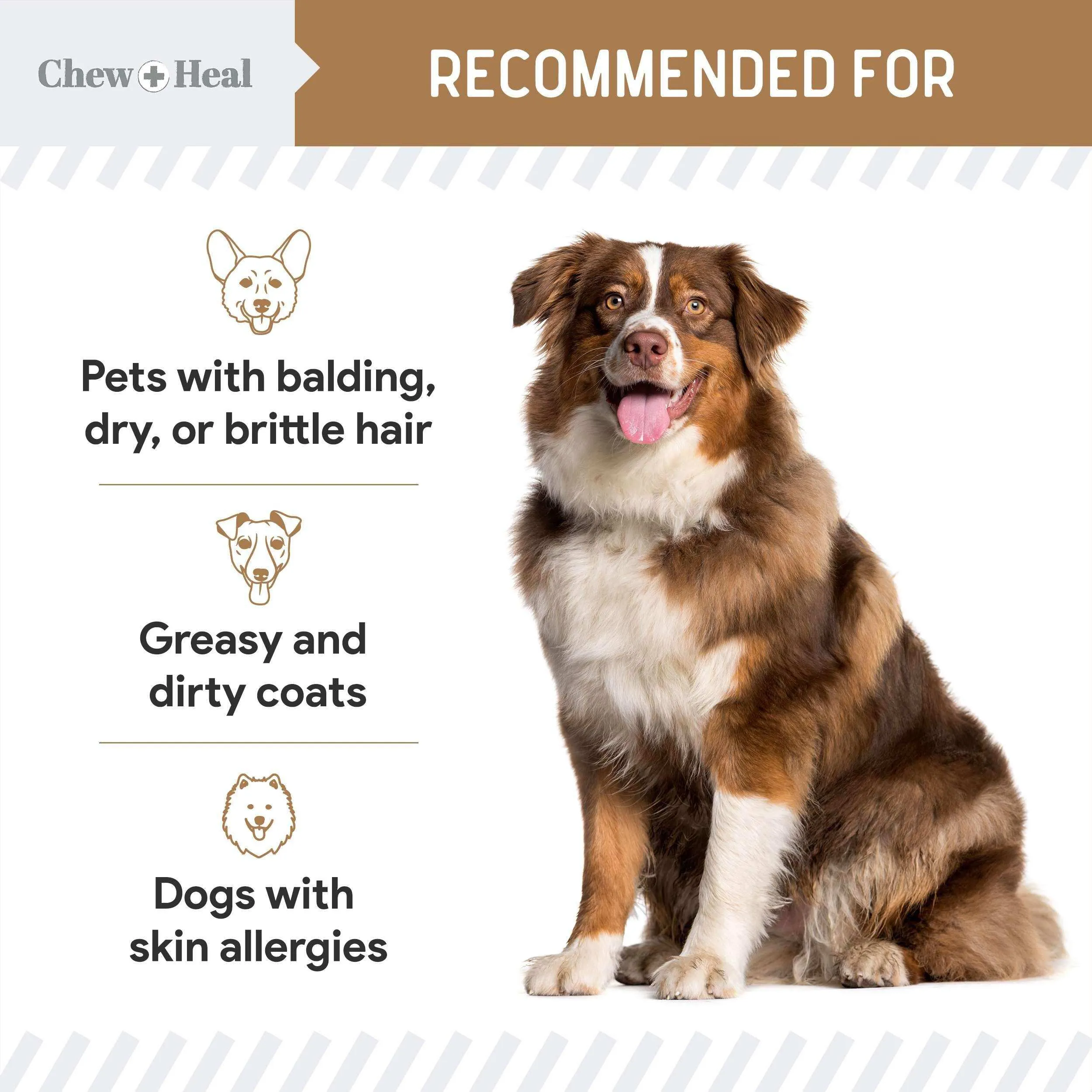 Chew   Heal Omega Skin and Coat for Dogs - 180 Chews - Peanut Butter Flavor