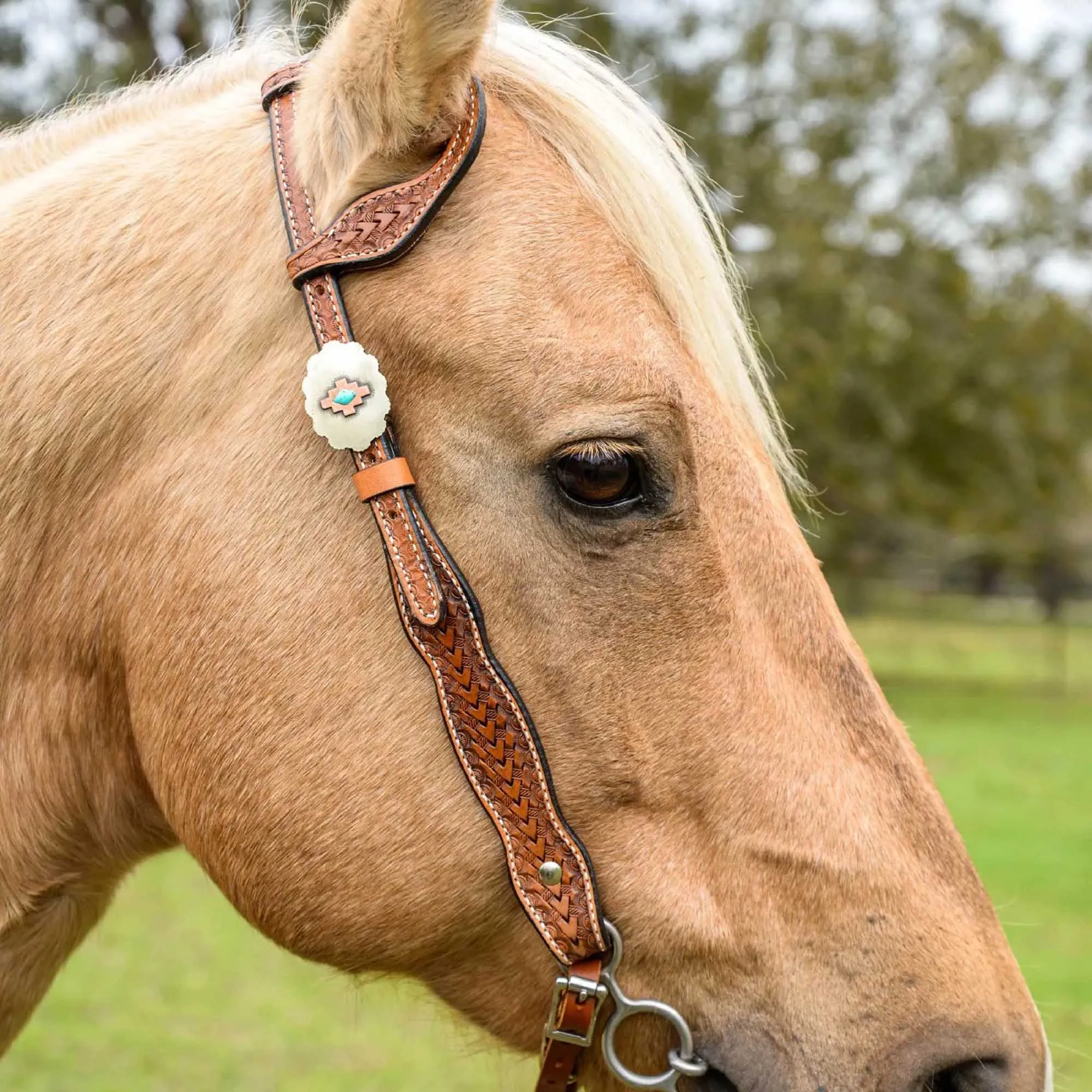 Circle Y Dawson One Ear Headstall, Full