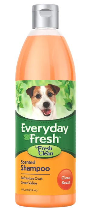 Everyday Fresh™ by Fresh ’n Clean® - Scented Shampoo - Clean Scent