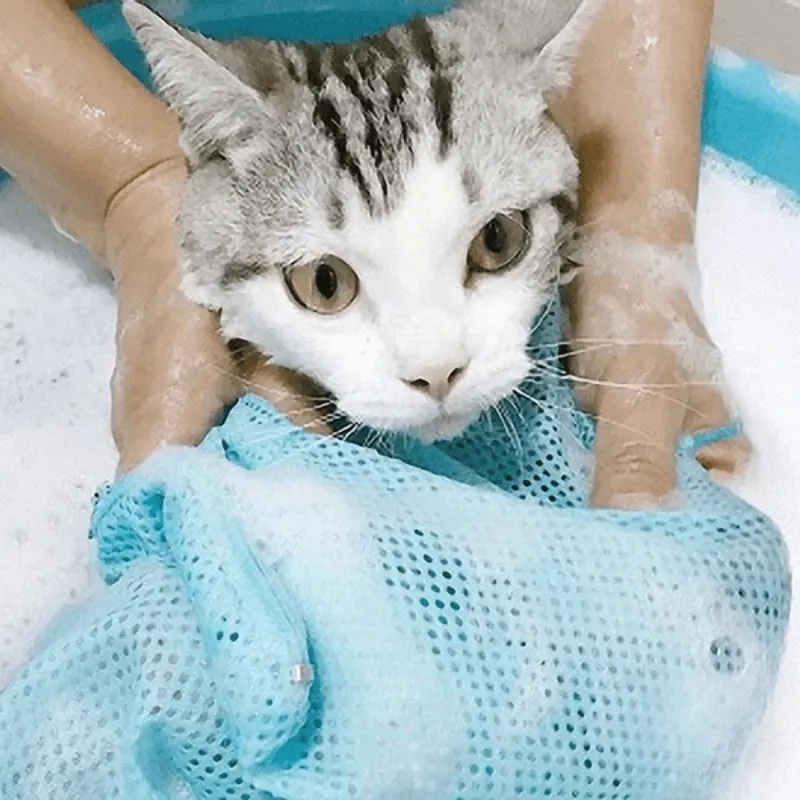 Innovative Grooming Bag A Clean  Comfortable Solution for Your Cat