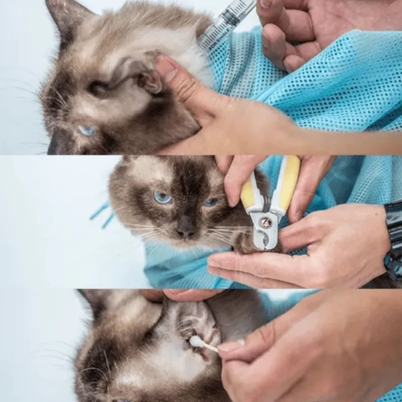 Innovative Grooming Bag A Clean  Comfortable Solution for Your Cat