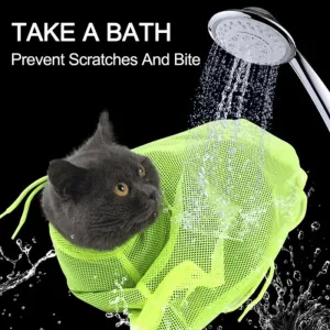 Innovative Grooming Bag A Clean  Comfortable Solution for Your Cat