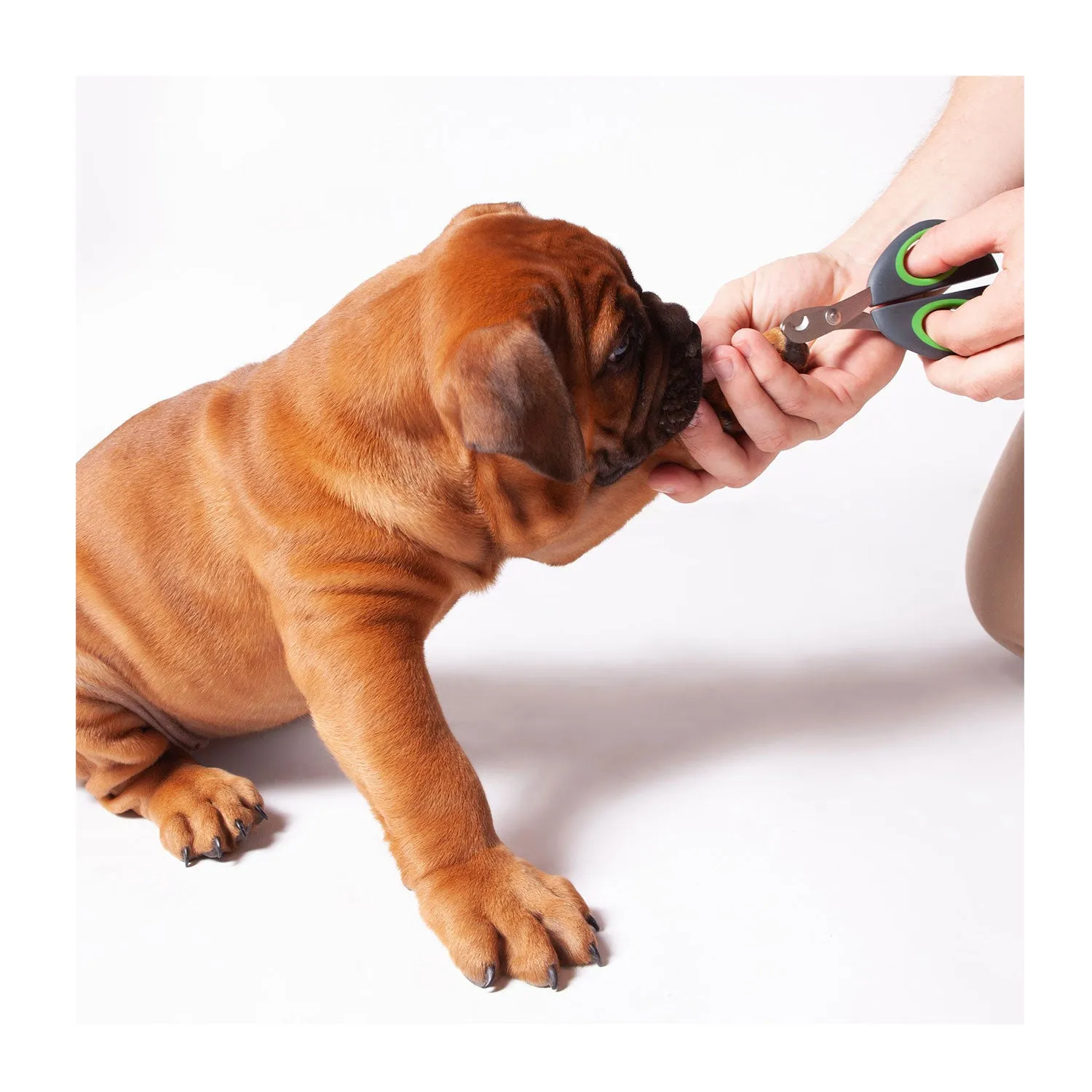 Kazoo Puppy & Cat Nail Clipper