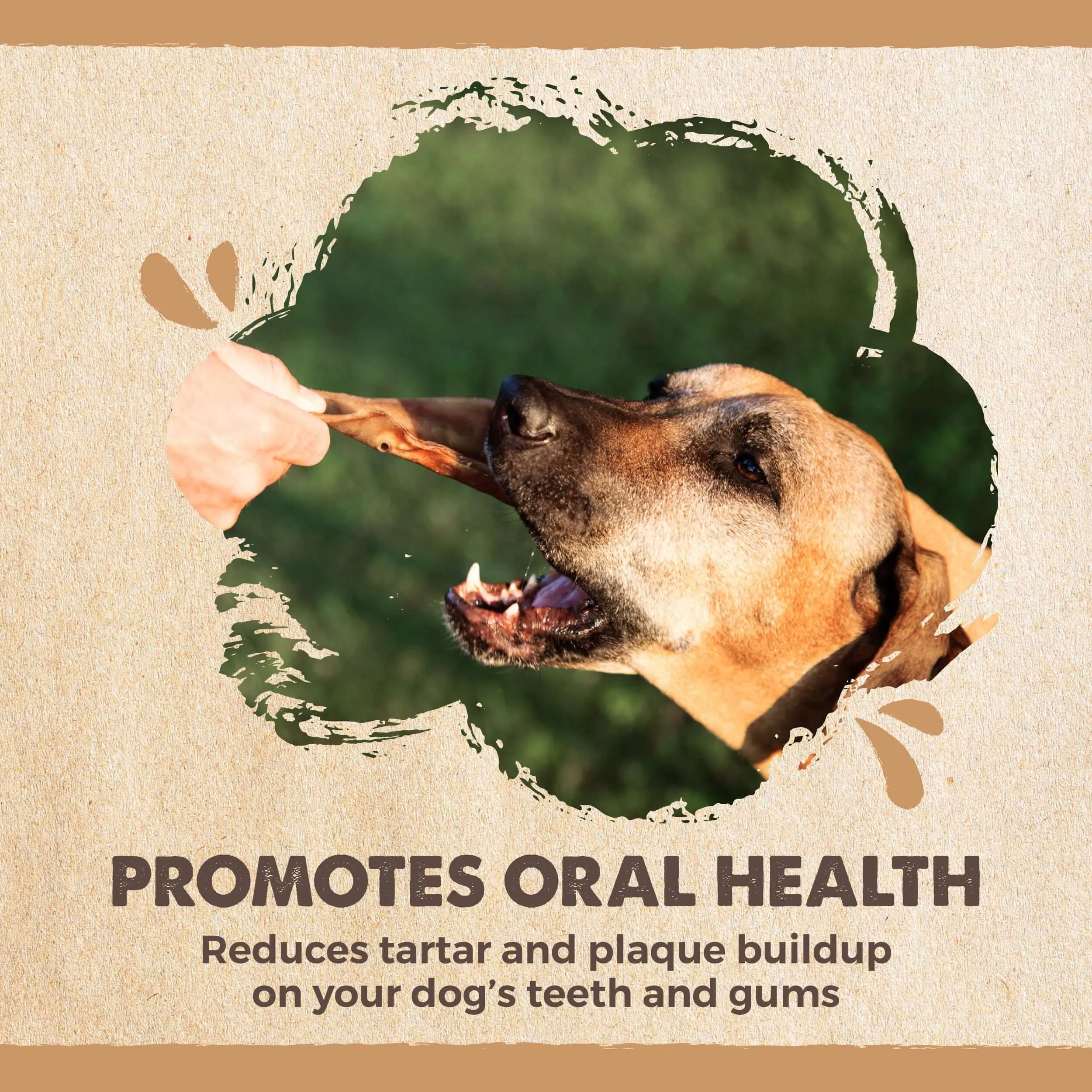 Natural Pig Ear Dog Chews: Wholesome Treats for Happy Pups (12pk)