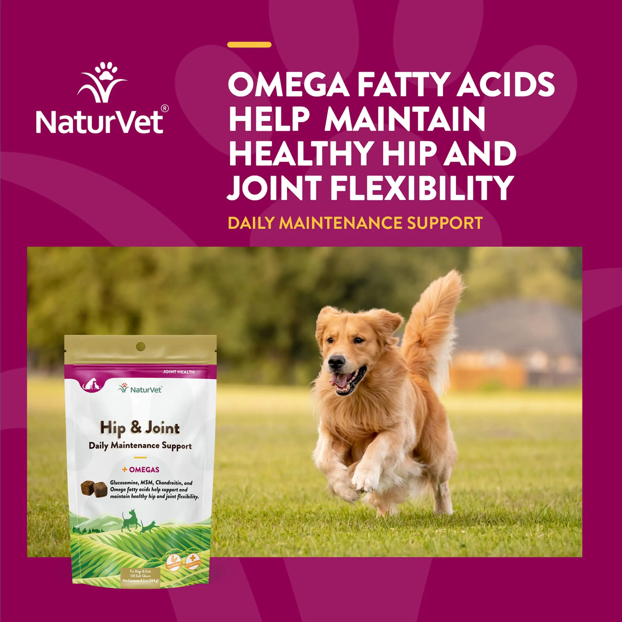 NaturVet Hip & Joint