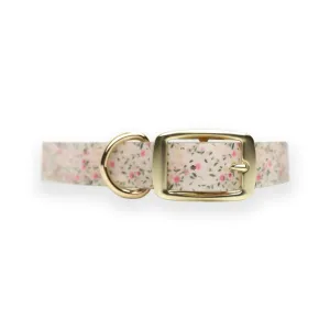 Petal Party | Dog Collar