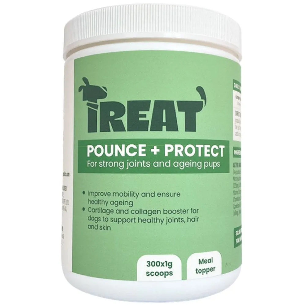 Treat Therapeutics Pounce   Protect Joint Dog Supplement 300g